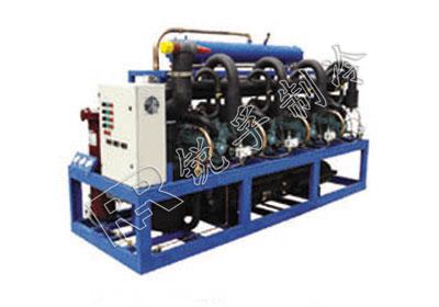 水冷式低溫雙級活塞式并聯(lián)機(jī)組